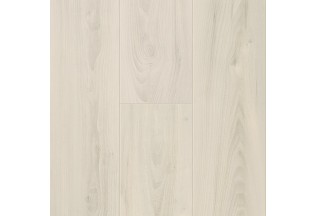 Вяз Magnolia 60039